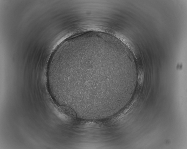 X0000091340390200708171415