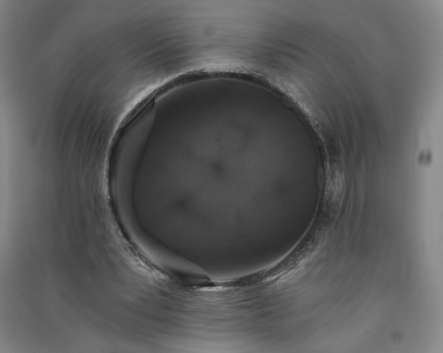 X0000091340391200708171415