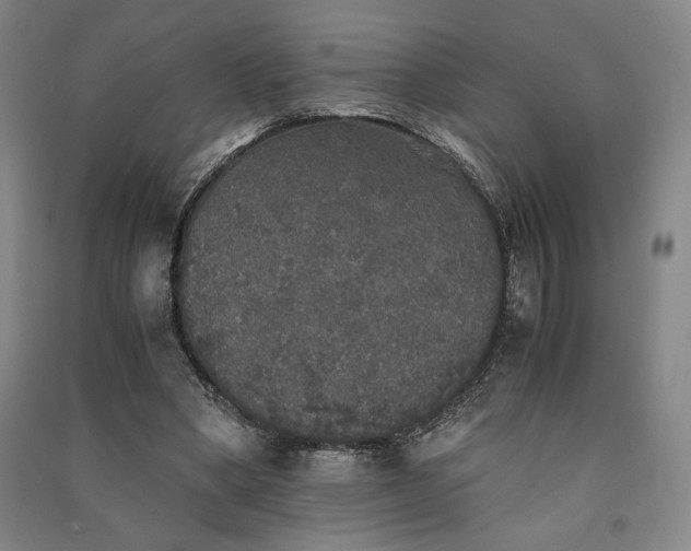 X0000091340394200708171415