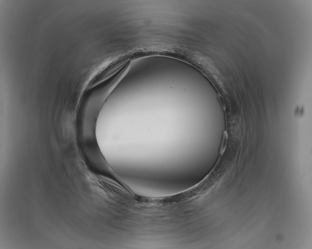 X0000091340395200708171415