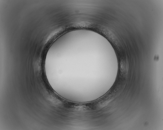 X0000091340396200708171415