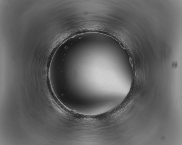 X0000091340397200708171415