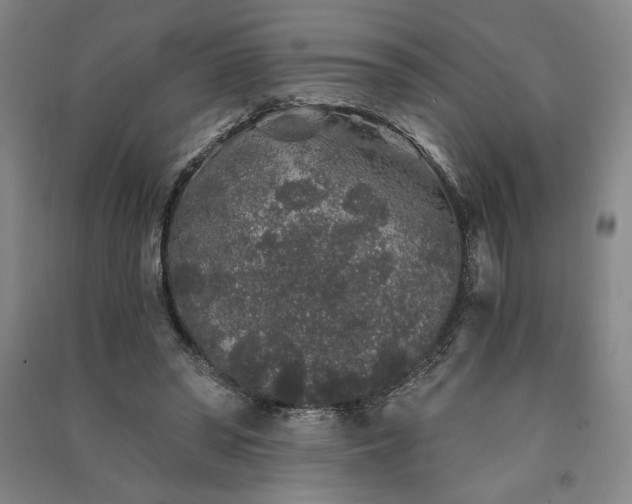 X0000091340398200708171415