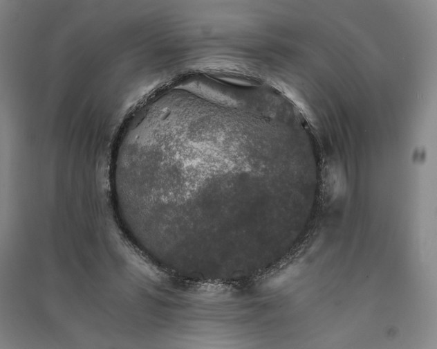 X0000091340399200708171415