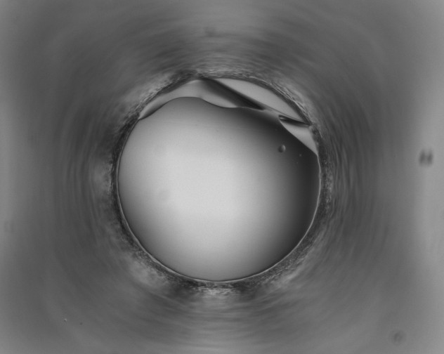 X0000091340401200708171415