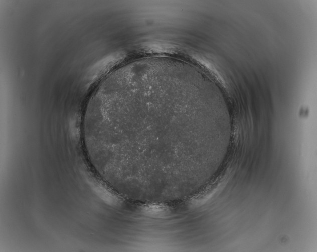 X0000091340402200708171415