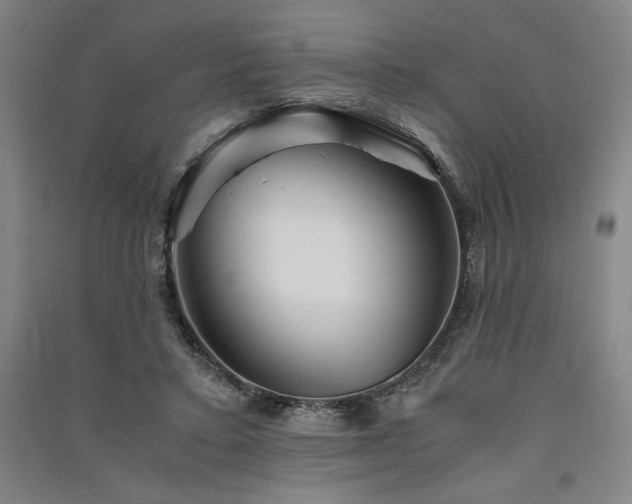 X0000091340403200708171415