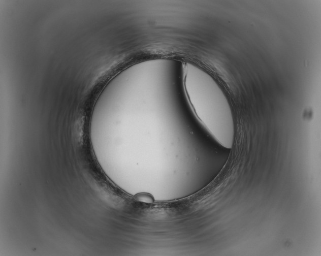 X0000091340404200708171415