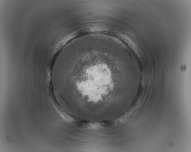 X0000091340405200708171415