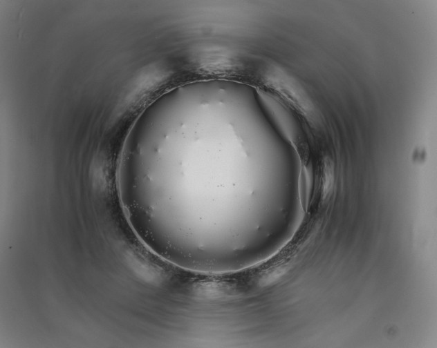 X0000091340408200708171415