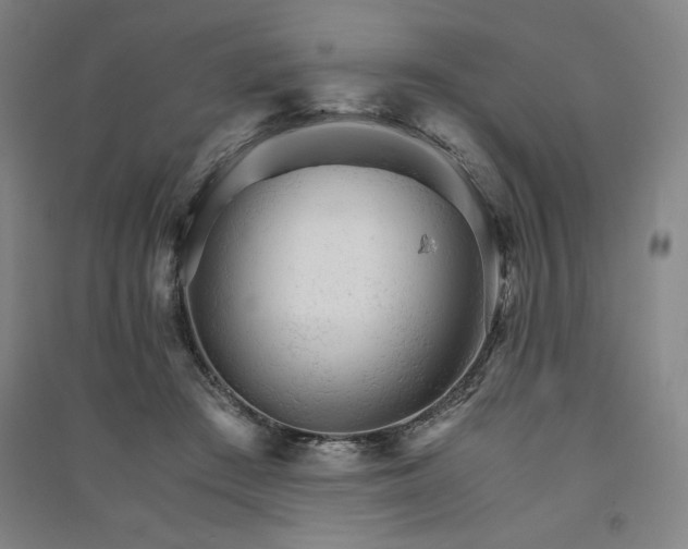 X0000091340409200708171415