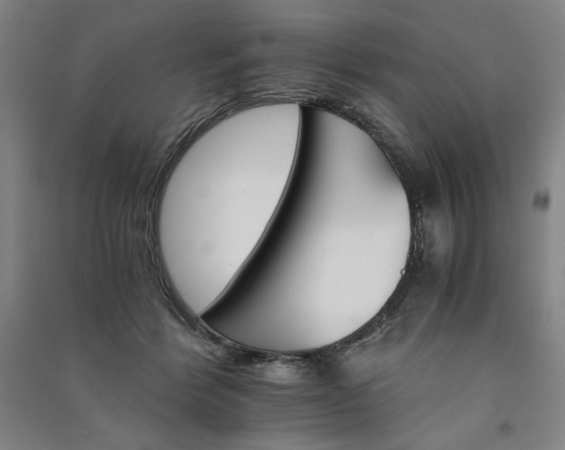 X0000091340412200708171415