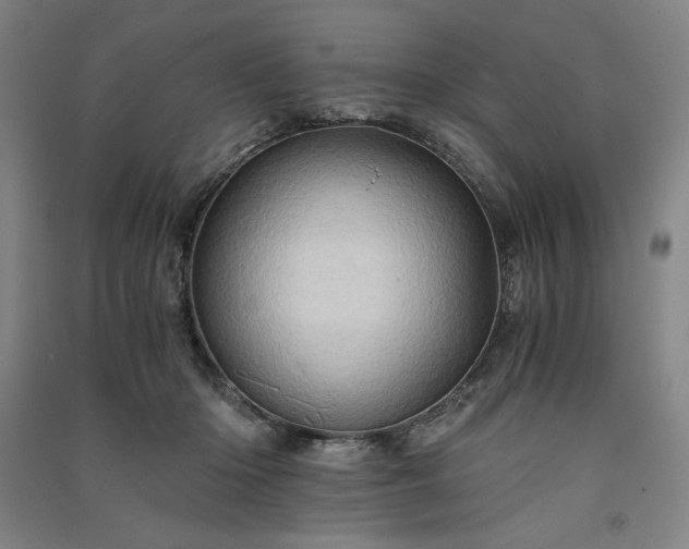 X0000091340414200708171415