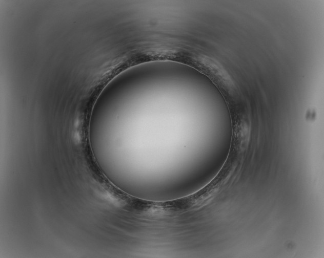 X0000091340416200708171415