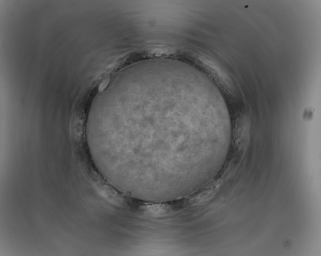 X0000091340417200708171415