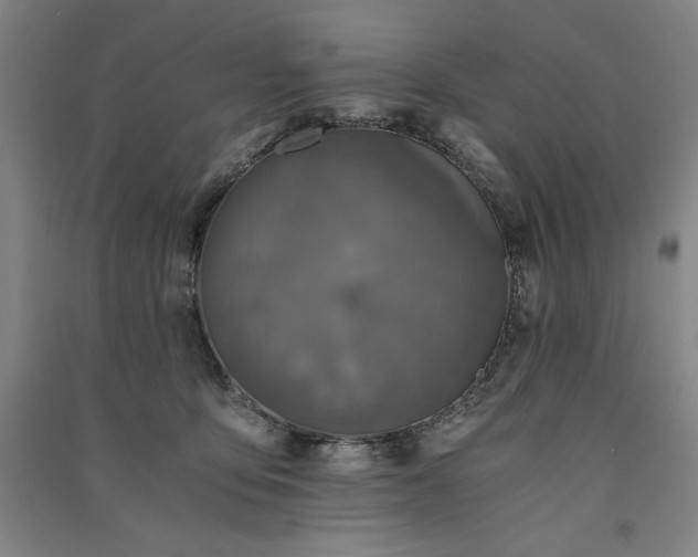 X0000091340419200708171415