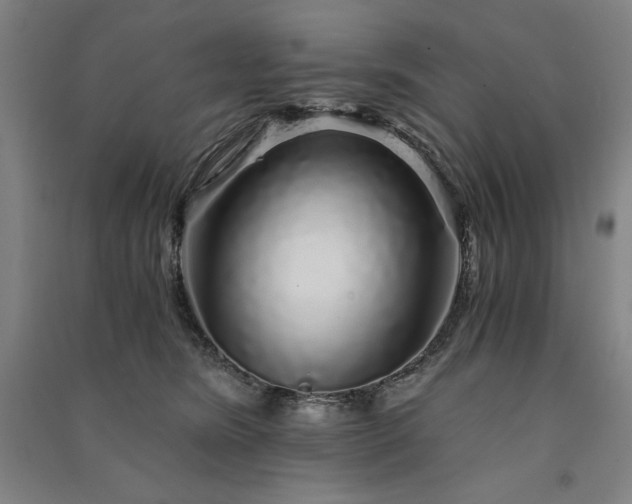 X0000091340420200708171415