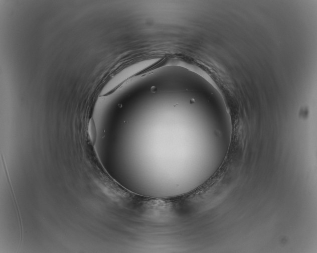 X0000091340421200708171415