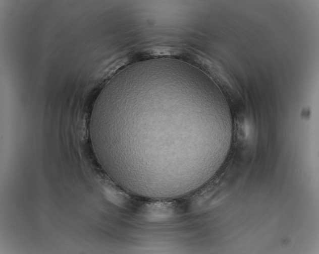 X0000091340422200708171414