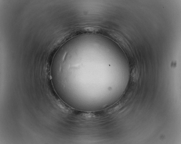 X0000091340424200708171414