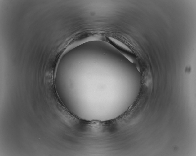 X0000091340425200708171414