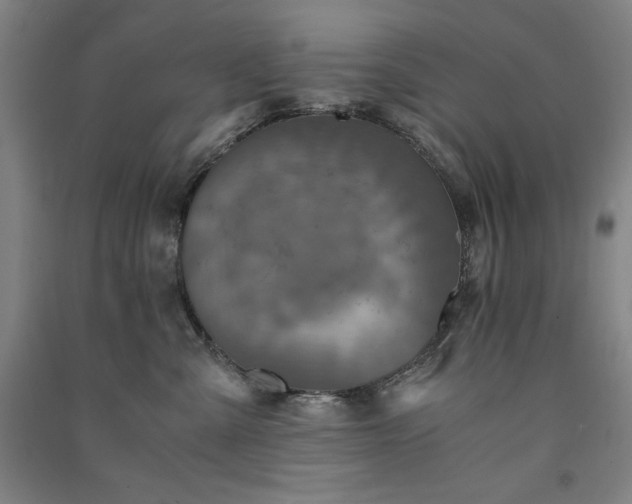 X0000091340427200708171414