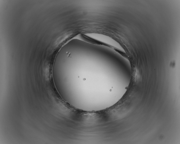 X0000091340428200708171414