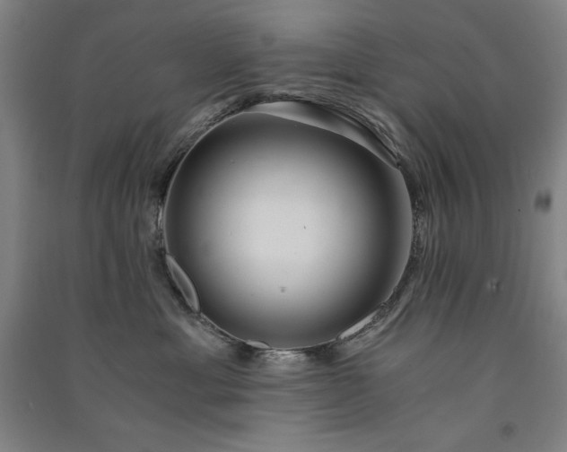 X0000091340429200708171414