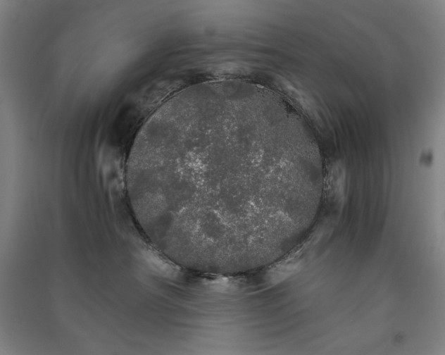 X0000091340430200708171414