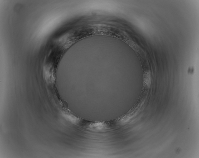 X0000091340431200708171414