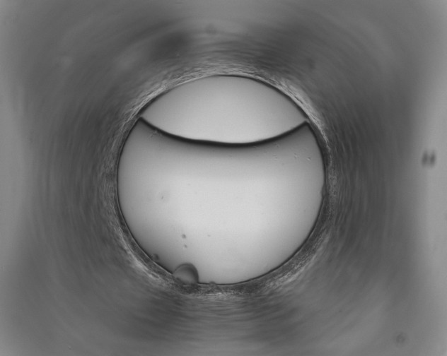 X0000091340433200708171414