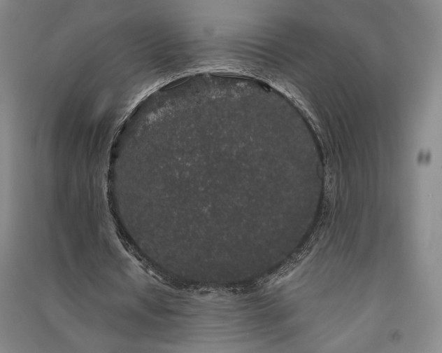 X0000091340434200708171414