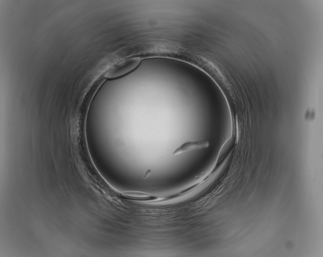 X0000091340435200708171414