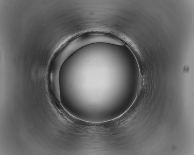 X0000091340436200708171414