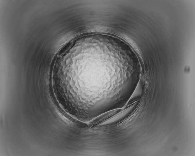 X0000091340437200708171414