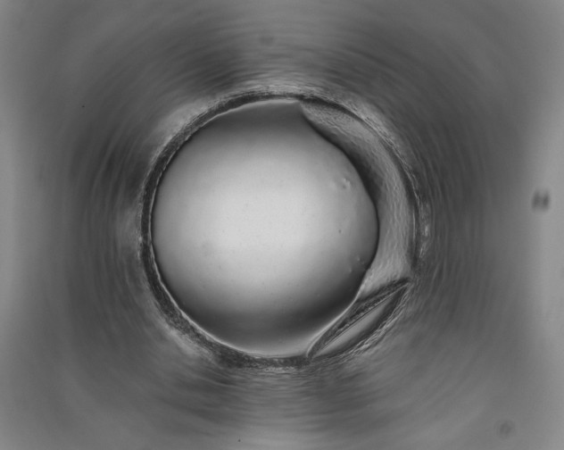 X0000091340438200708171414