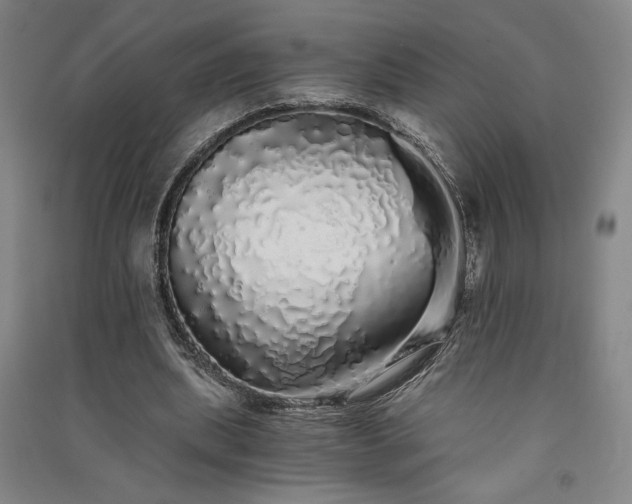 X0000091340439200708171414