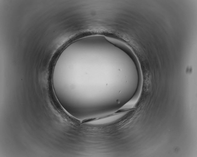 X0000091340440200708171414