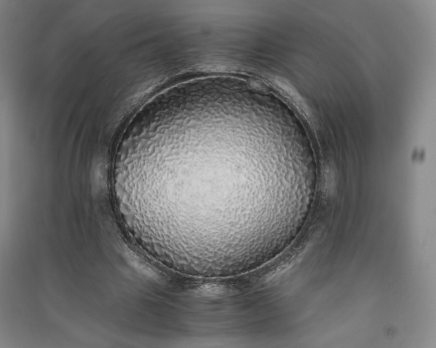 X0000091340441200708171414