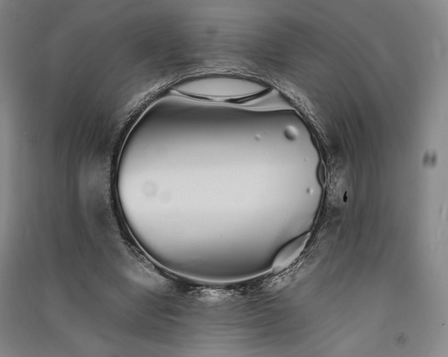 X0000091340442200708171414