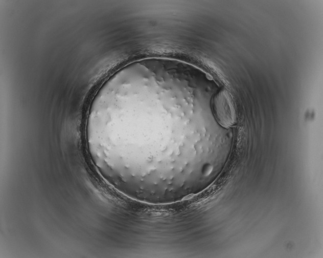 X0000091340443200708171414