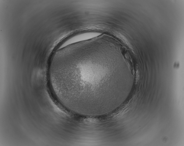 X0000091340444200708171414