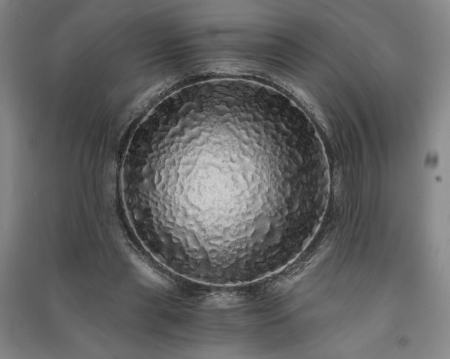 X0000091340445200708171414