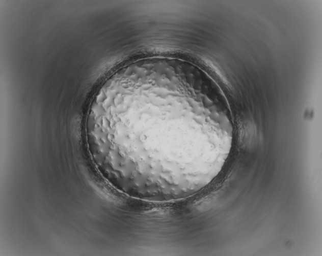 X0000091340447200708171414