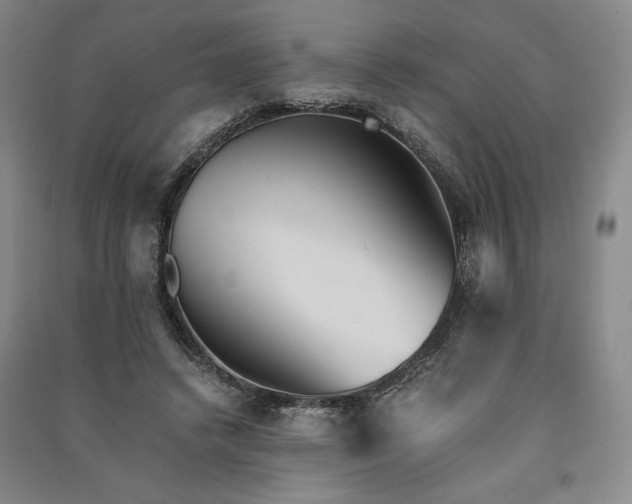 X0000091340448200708171414