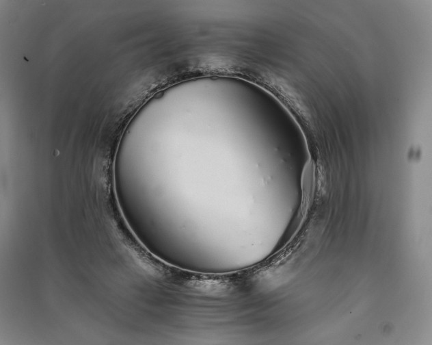 X0000091340449200708171414