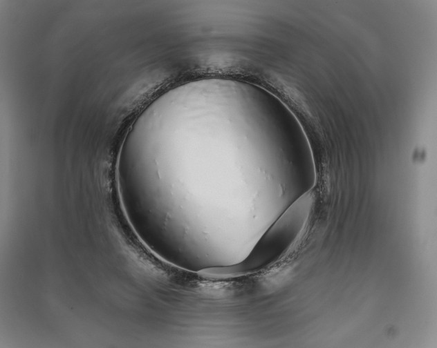 X0000091340450200708171414