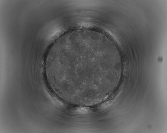 X0000091340451200708171414