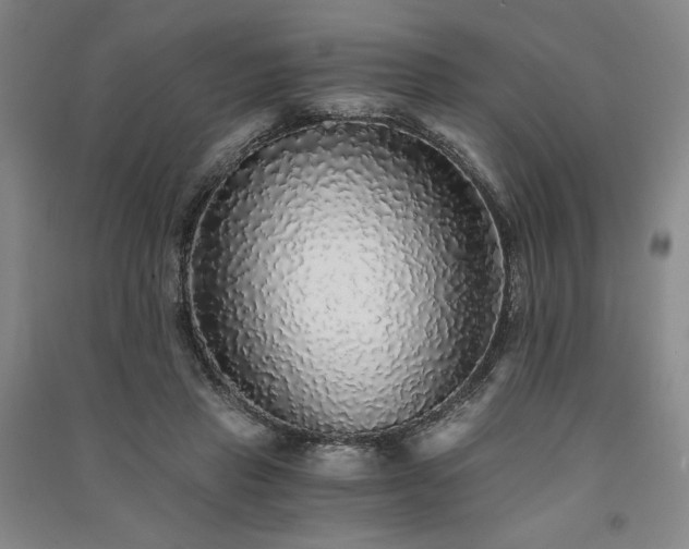 X0000091340453200708171414