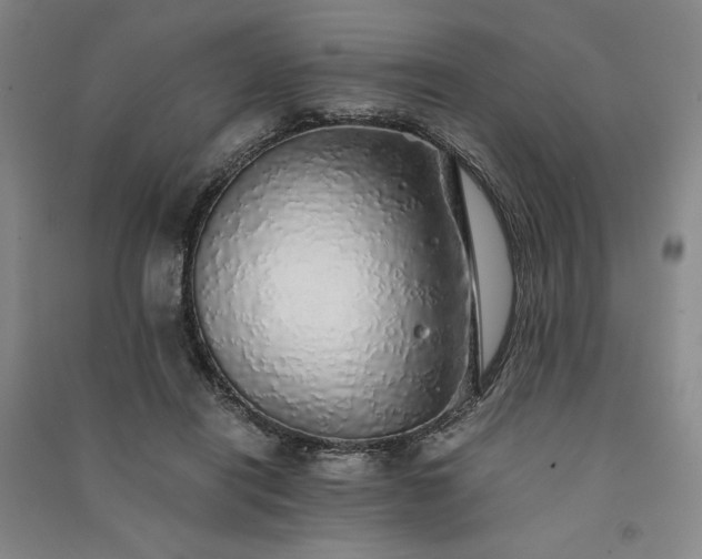 X0000091340454200708171414